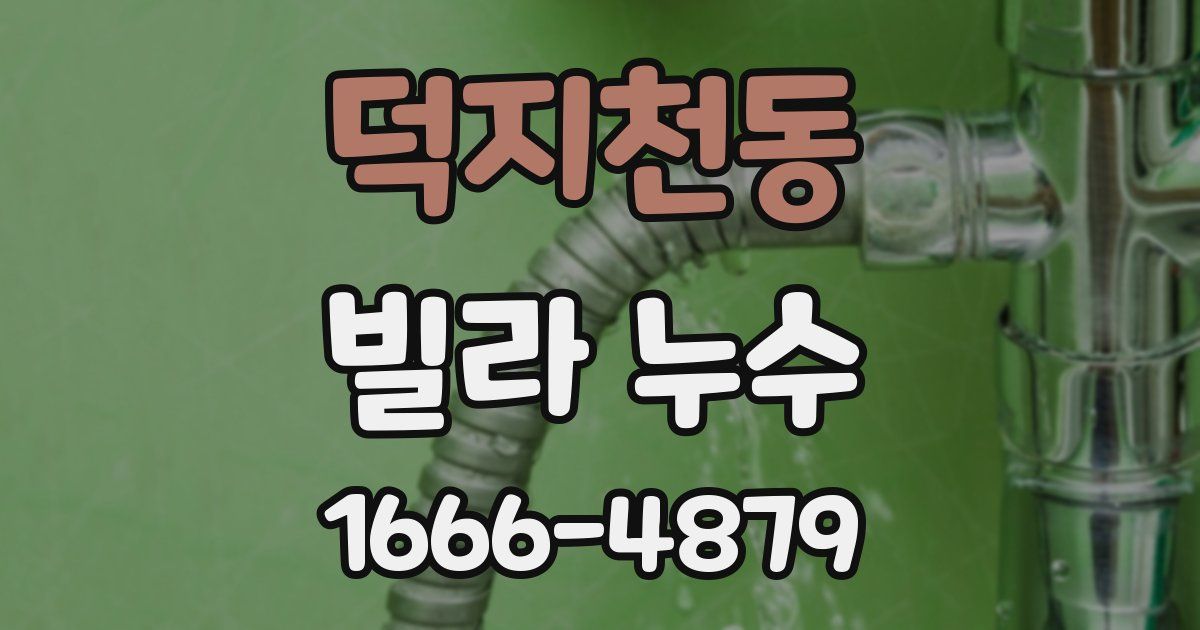 덕지천동 빌라 누수