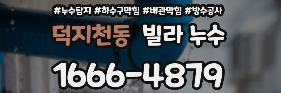 덕지천동 빌라 누수