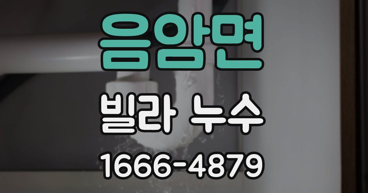 음암면 빌라 누수