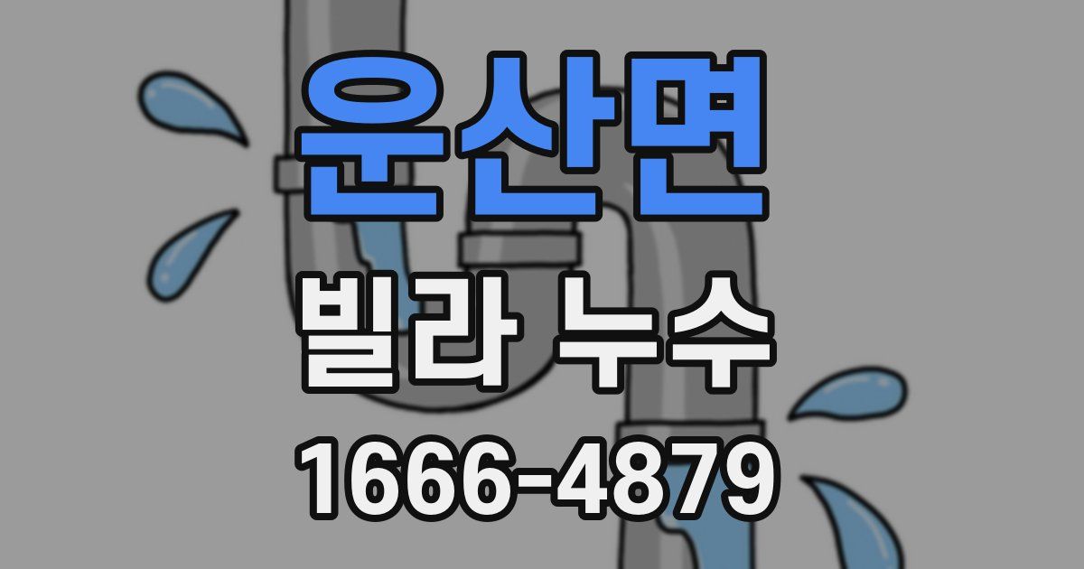 운산면 빌라 누수