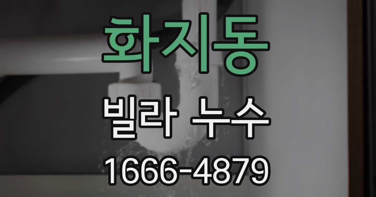 화지동 빌라 누수