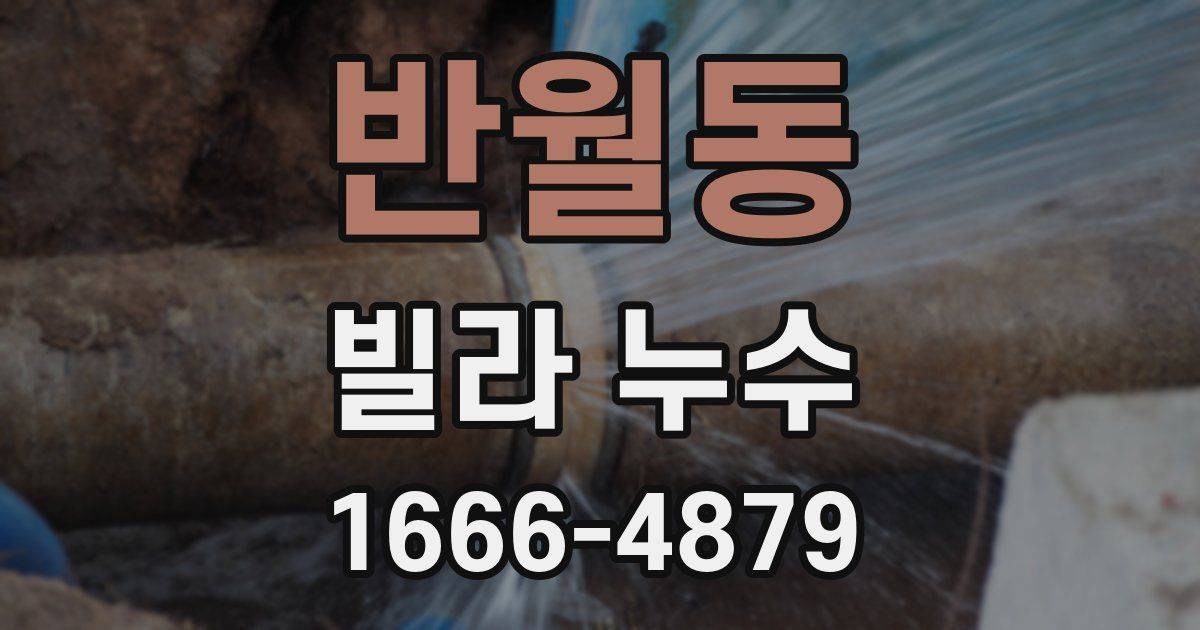 반월동 빌라 누수