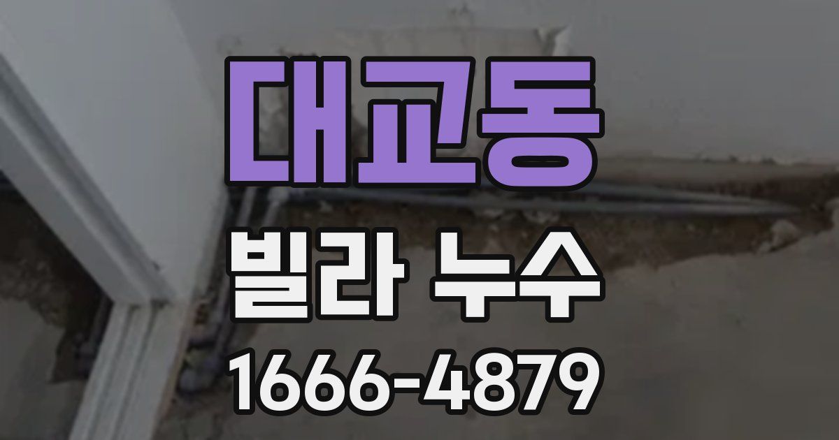 대교동 빌라 누수