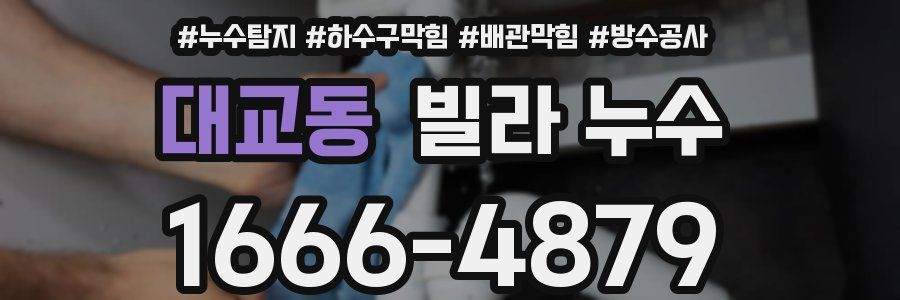 대교동 빌라 누수
