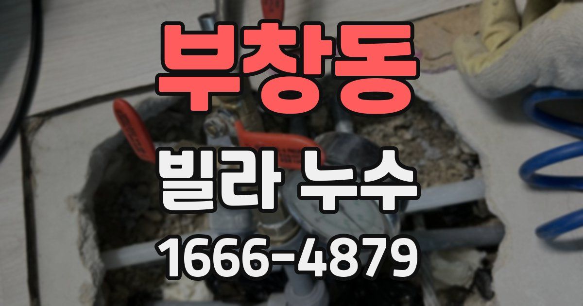 부창동 빌라 누수