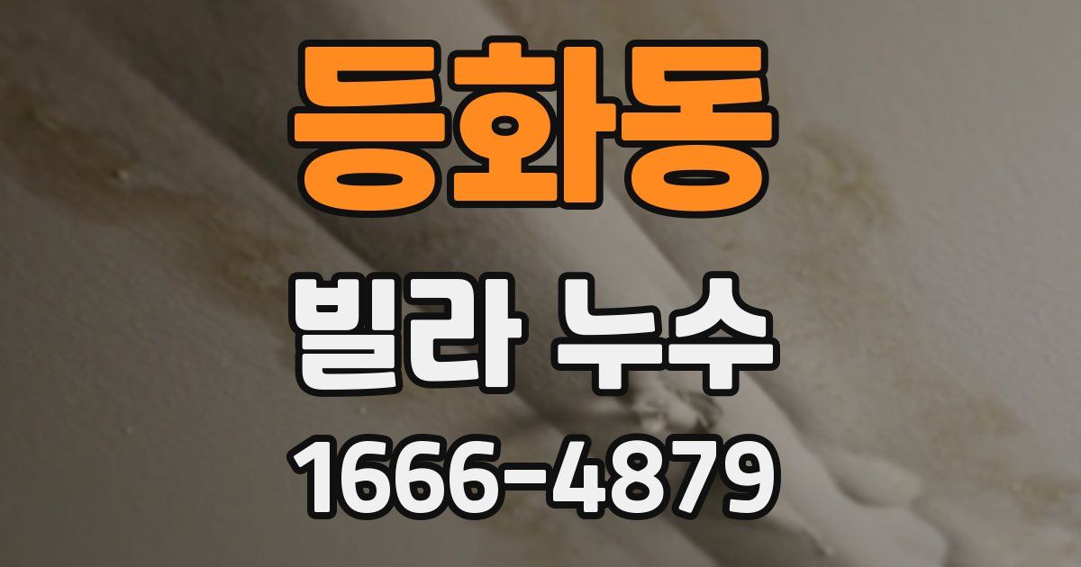 등화동 빌라 누수