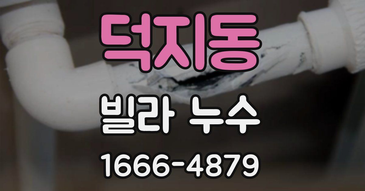 덕지동 빌라 누수