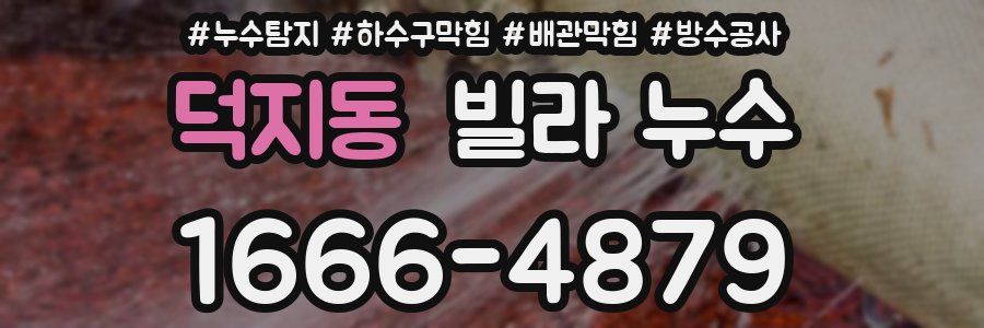 덕지동 빌라 누수