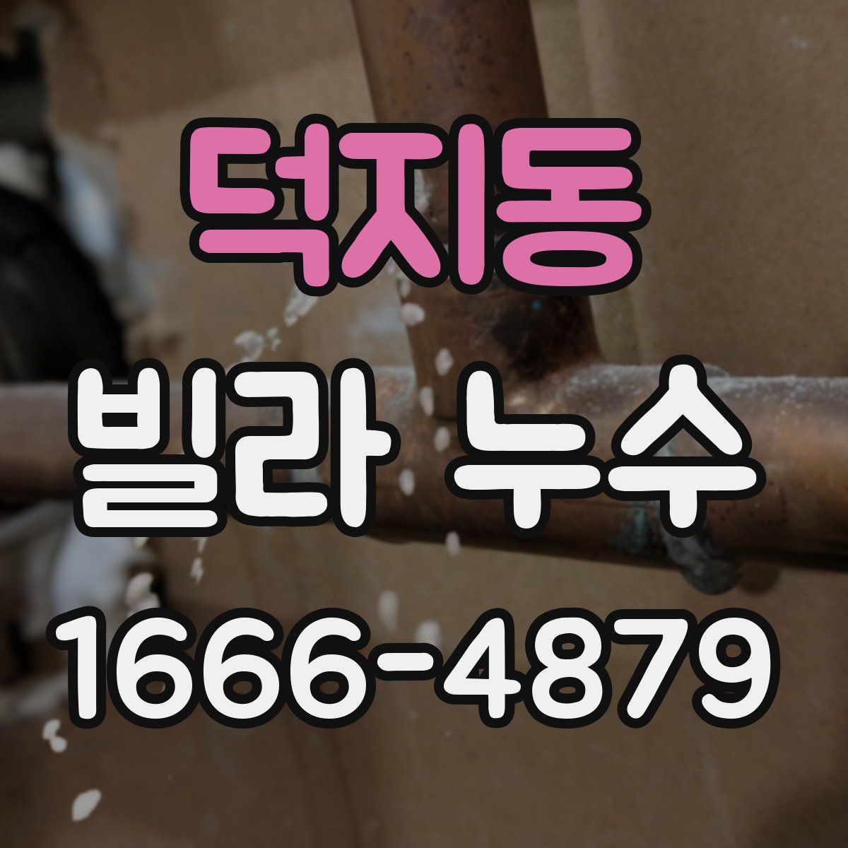 덕지동 빌라 누수