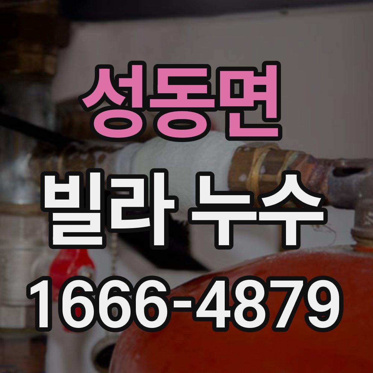 성동면 빌라 누수