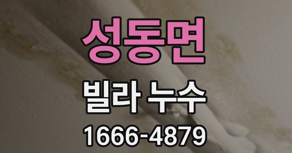 성동면 빌라 누수