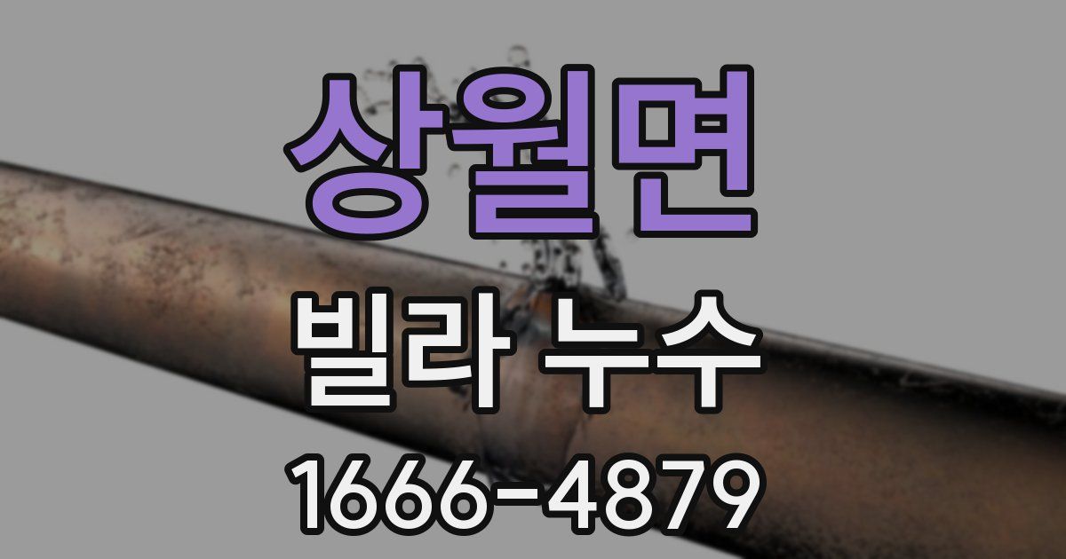 상월면 빌라 누수