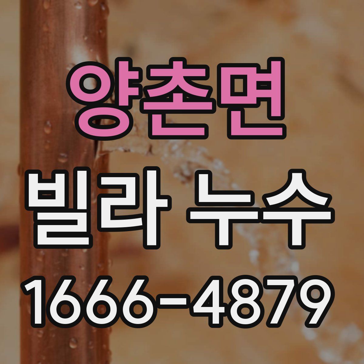 양촌면 빌라 누수