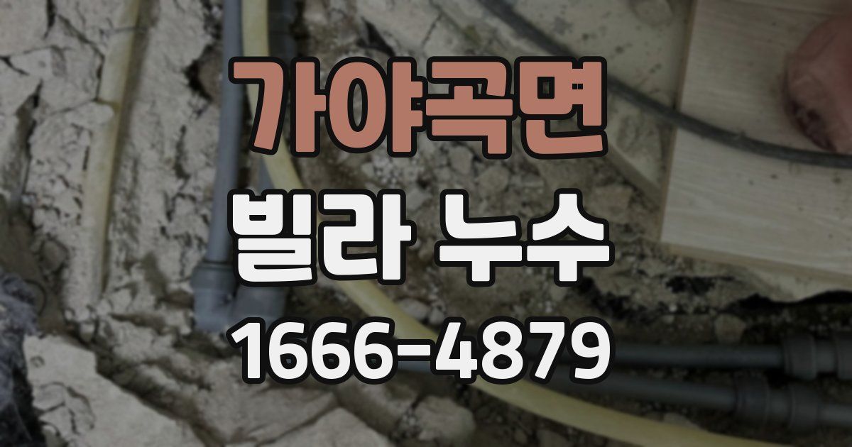 가야곡면 빌라 누수