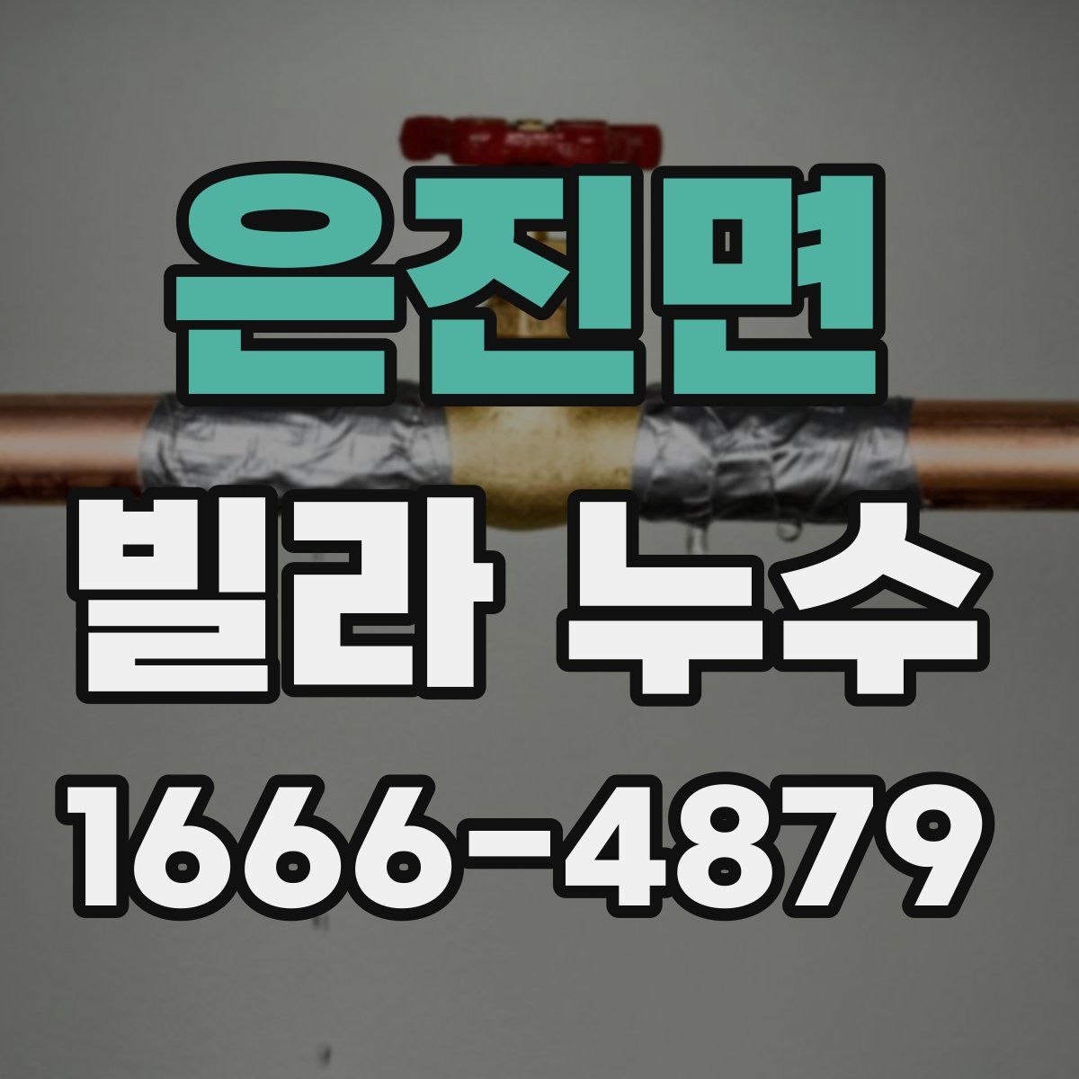 은진면 빌라 누수