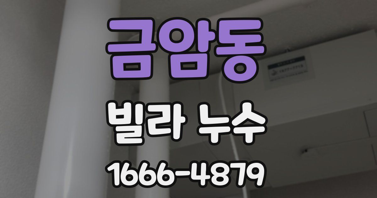 금암동 빌라 누수