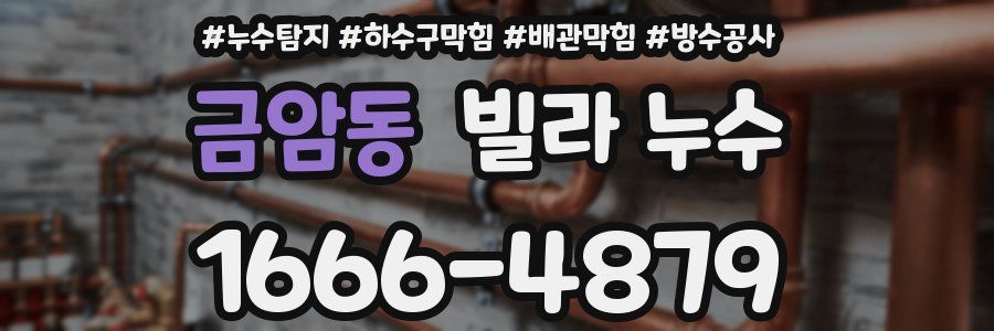 금암동 빌라 누수