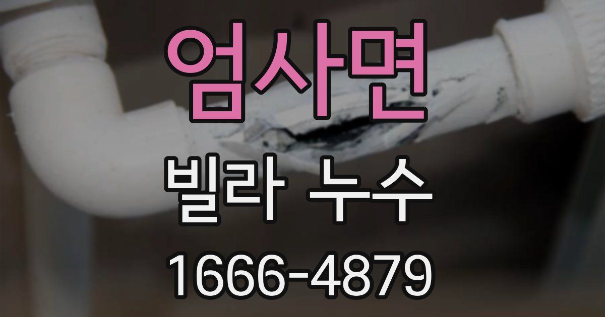 엄사면 빌라 누수