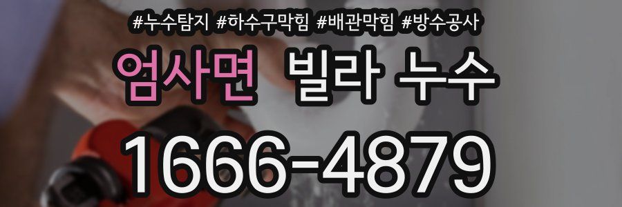 엄사면 빌라 누수