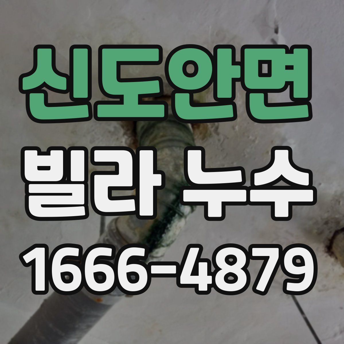 신도안면 빌라 누수