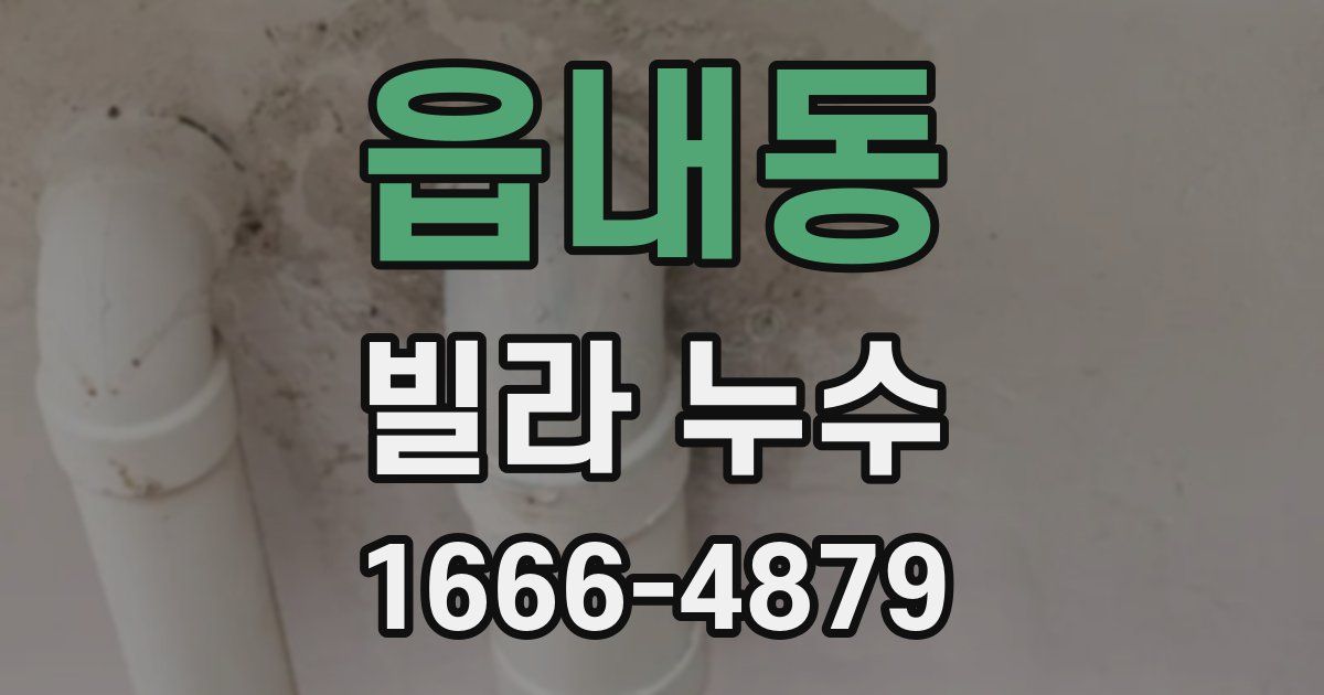 읍내동 빌라 누수