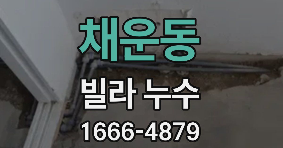 채운동 빌라 누수