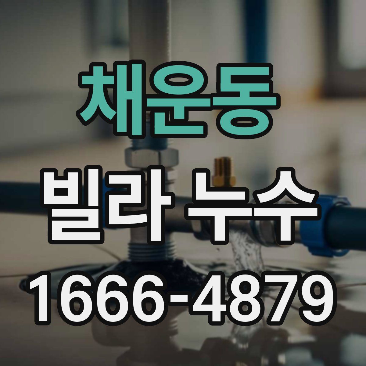 채운동 빌라 누수