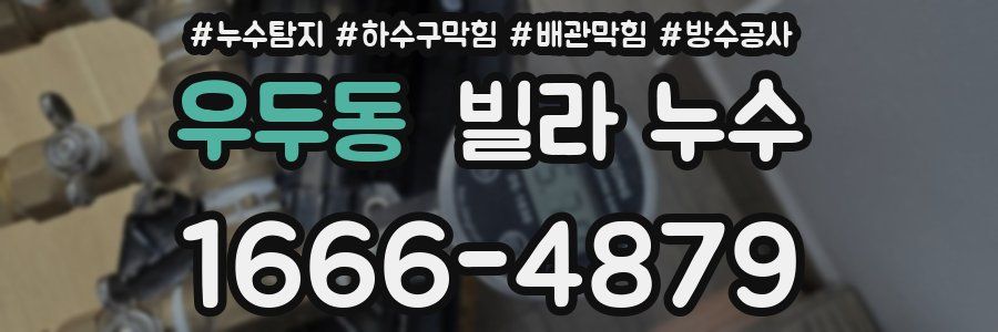 우두동 빌라 누수