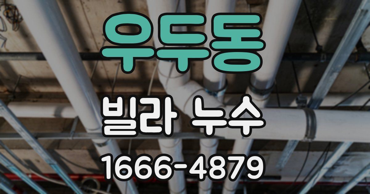 우두동 빌라 누수