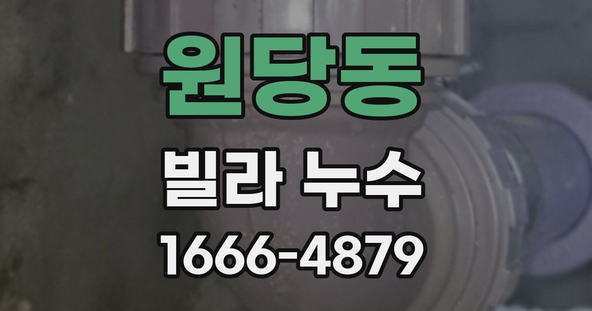 원당동 빌라 누수