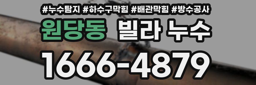 원당동 빌라 누수