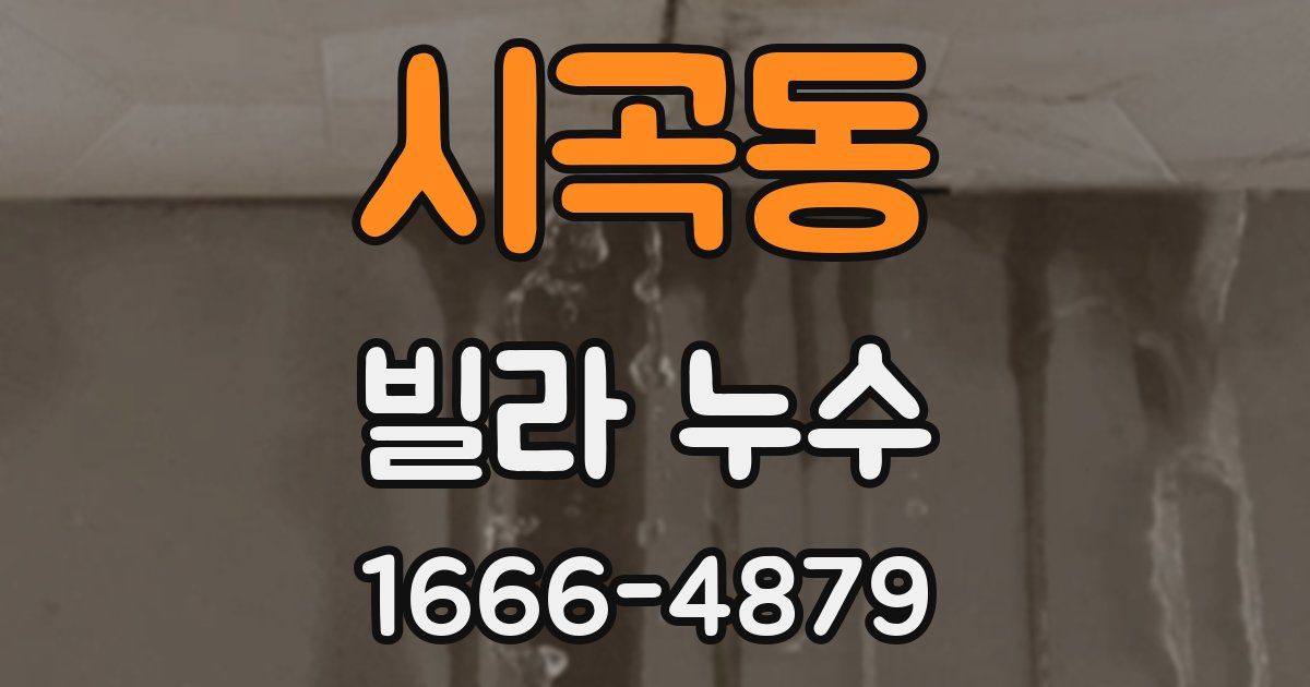 시곡동 빌라 누수
