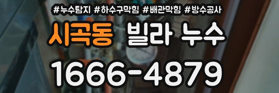 시곡동 빌라 누수