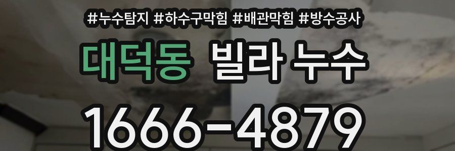 대덕동 빌라 누수