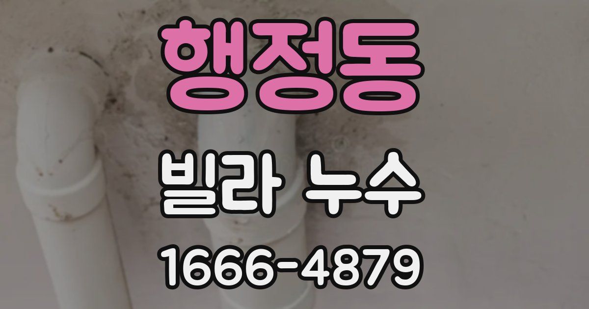 행정동 빌라 누수