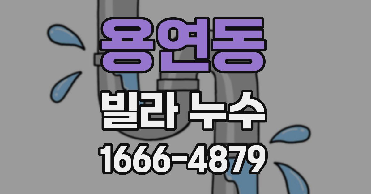 용연동 빌라 누수