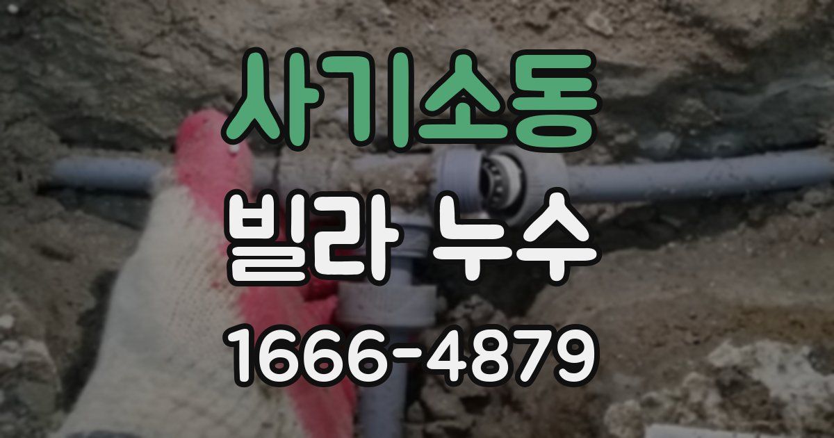 사기소동 빌라 누수