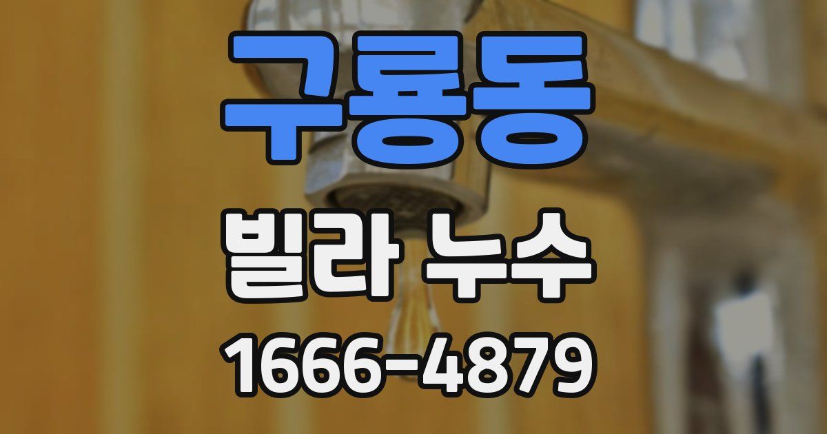 구룡동 빌라 누수