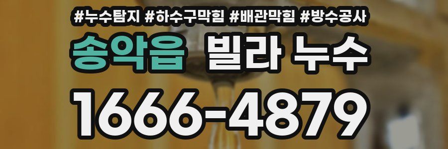 송악읍 빌라 누수