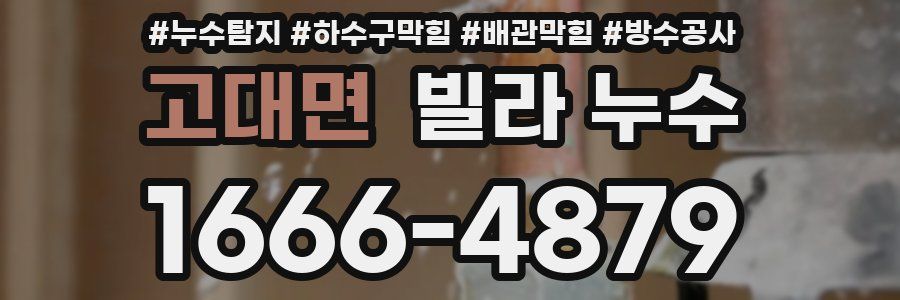 고대면 빌라 누수