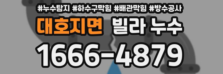 대호지면 빌라 누수