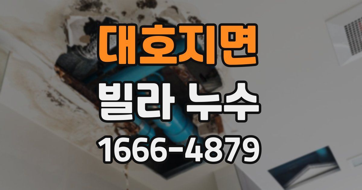 대호지면 빌라 누수