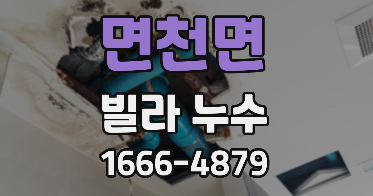 면천면 빌라 누수