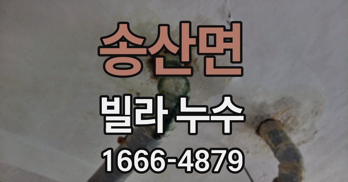 송산면 빌라 누수