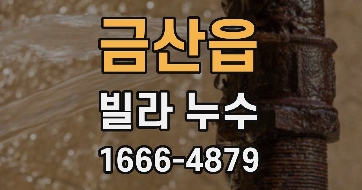 금산읍 빌라 누수