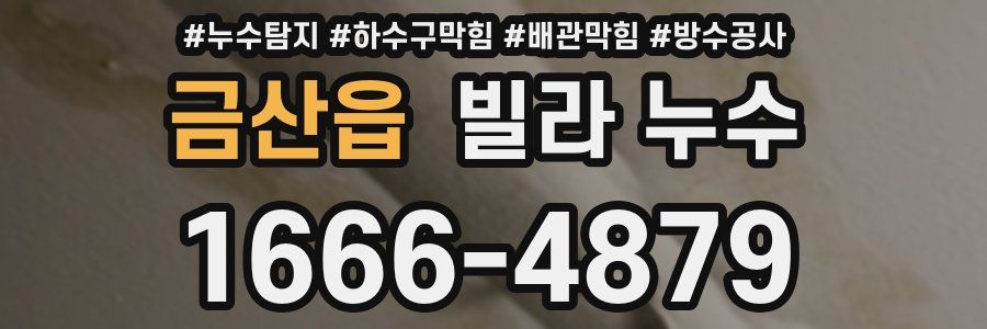 금산읍 빌라 누수