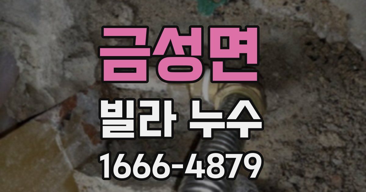 금성면 빌라 누수