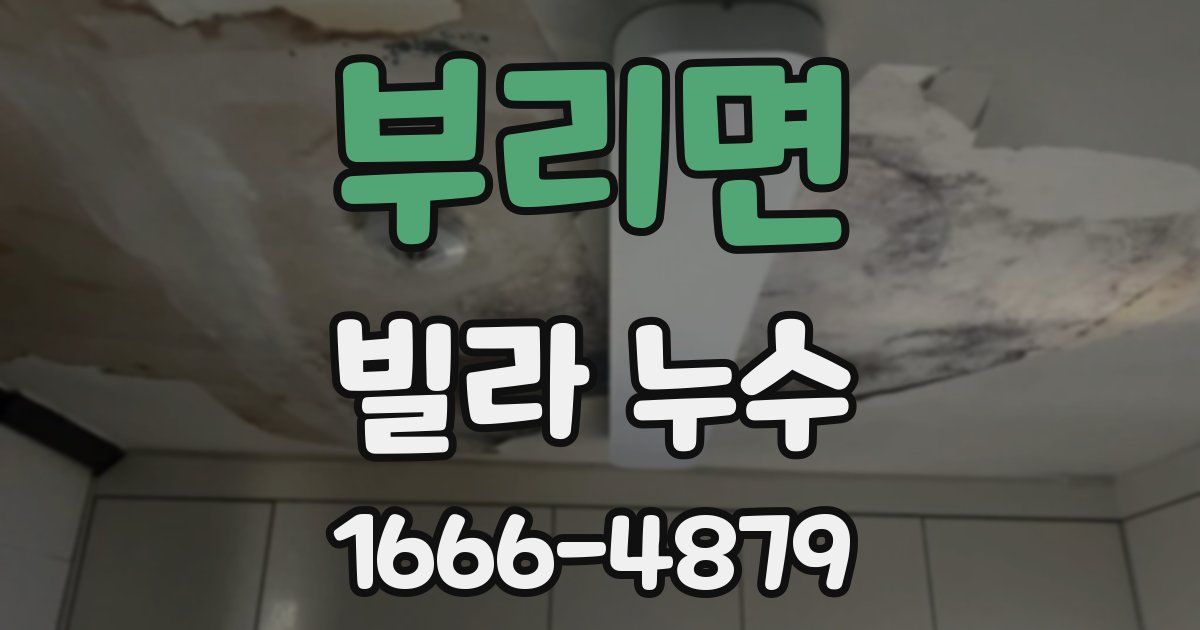 부리면 빌라 누수