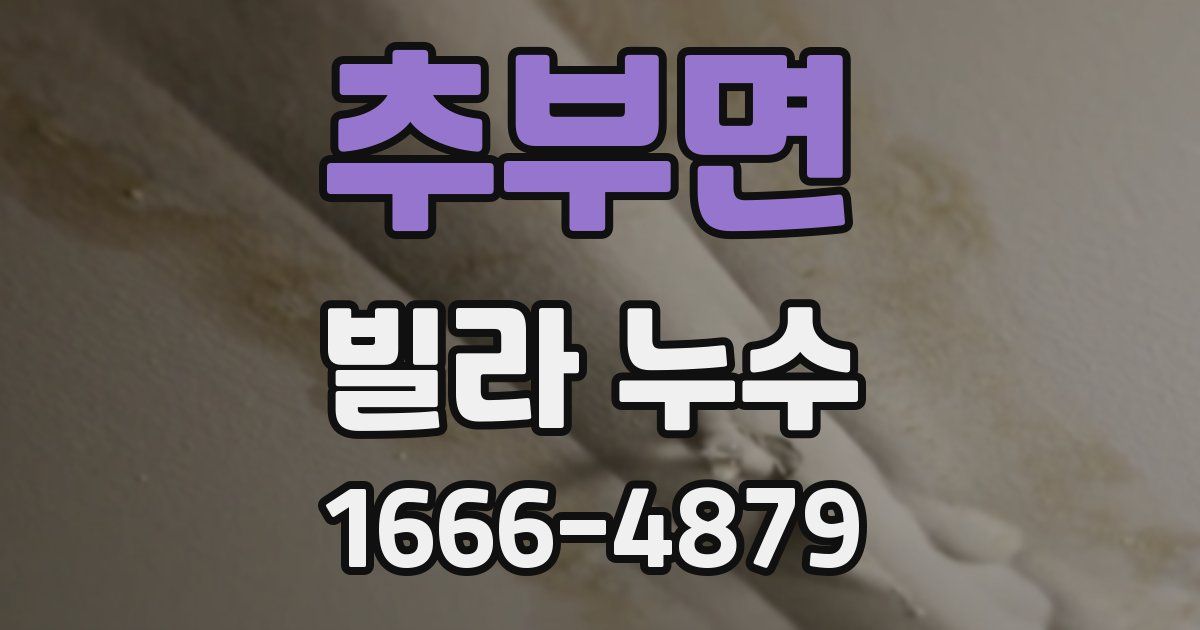 추부면 빌라 누수