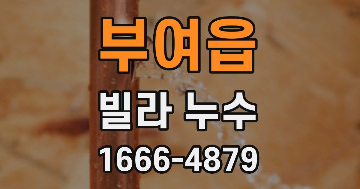 부여읍 빌라 누수
